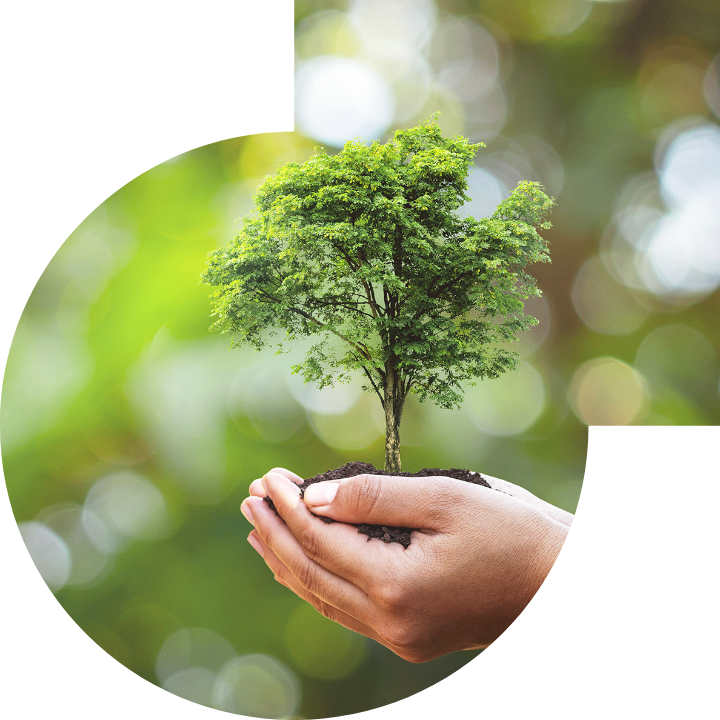 关怀人类、文化、环境与社会